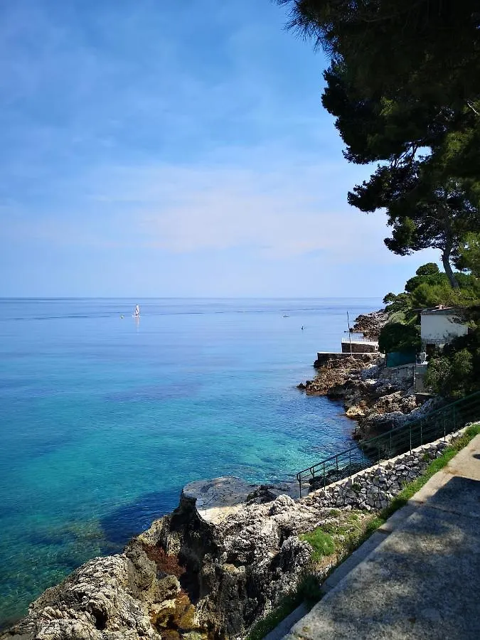 Appartement Chez Fifine à Roquebrune-Cap-Martin 0*,